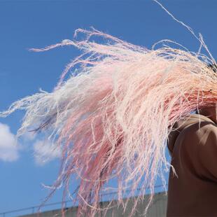 跨境包邮台湾马来西亚龙须草蓬莱松梦幻星情人草蕨叶尤加利叶链接