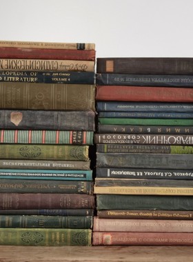 外文书英文旧书原版二手书 16KA4硬皮 复古婚礼拍摄道具书样板房