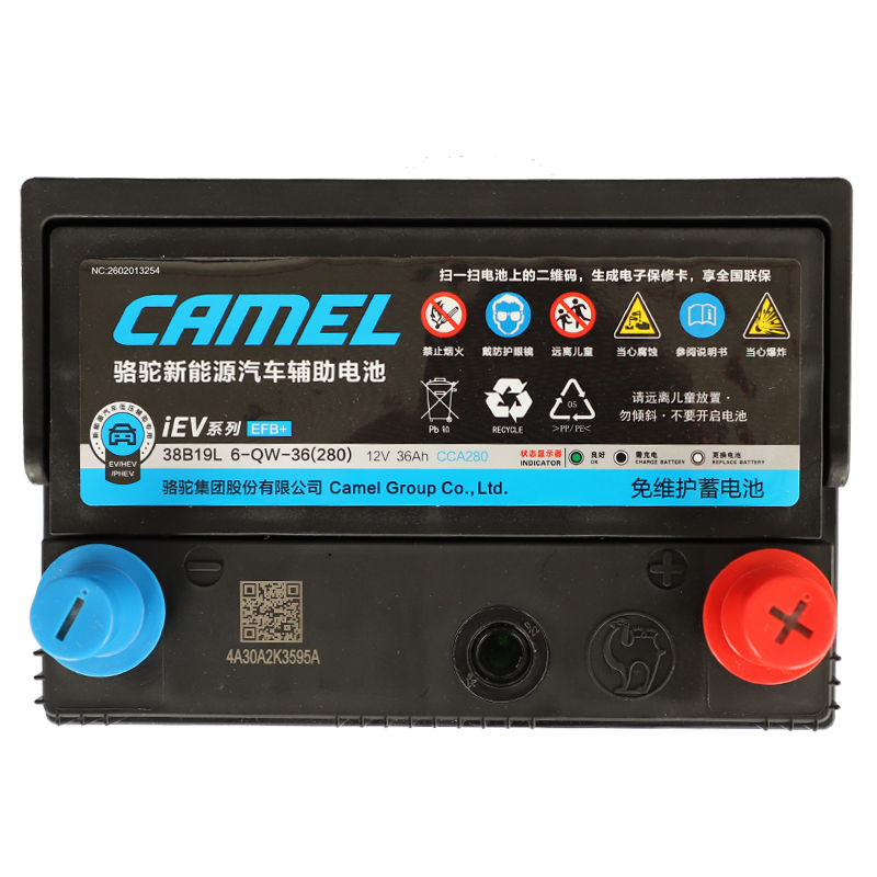 骆驼新能源辅助电池38B19