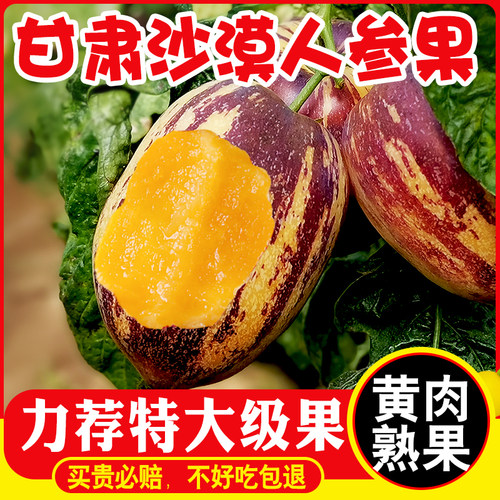 官方推荐】民勤树上熟人参果9斤