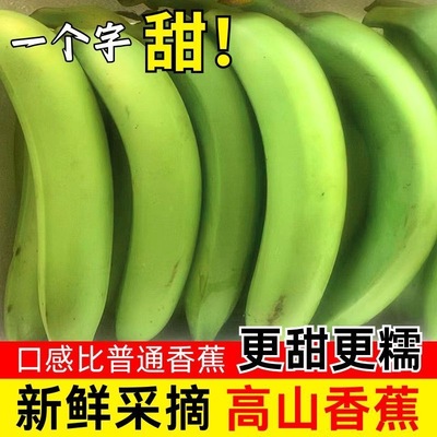 云南高山甜香蕉新鲜甜糯自然熟