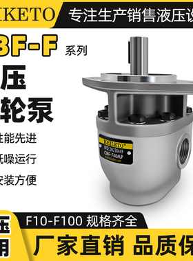 叉车油泵高压齿轮液压泵CBF-F10/16/18/25/1.5/32/40/50/63P ALPX