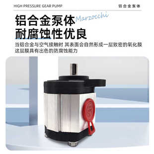 意大利马祖奇MARZOCCHI齿轮泵GHP1A