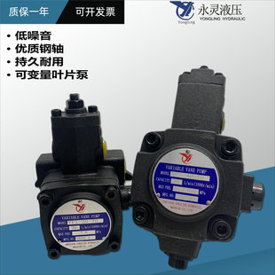2变量叶片油泵 YLC仙居永灵液压泵VP1