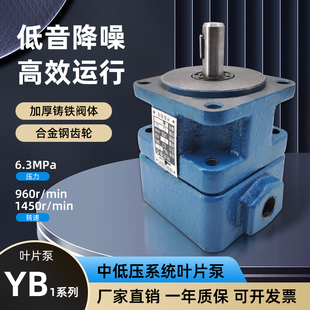 6.3 125 31.5 2.5 无锡泰业叶片泵YB1