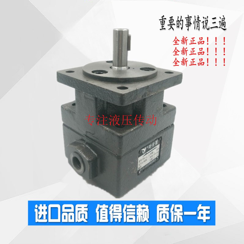 仙居大华液压有限公司 叶片泵YB1-32,40,50,2.5,4,6,10,16,25 YBI