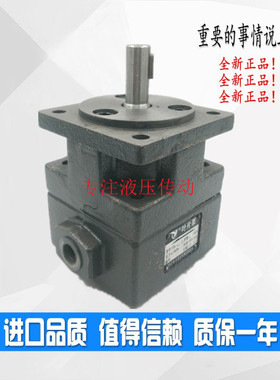 仙居大华液压有限公司 叶片泵YB1-32,40,50,2.5,4,6,10,16,25 YBI