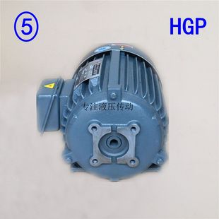 液压电机37KW齿轮叶片柱塞泵组连接法兰支架泵套钟形罩弹性连轴器