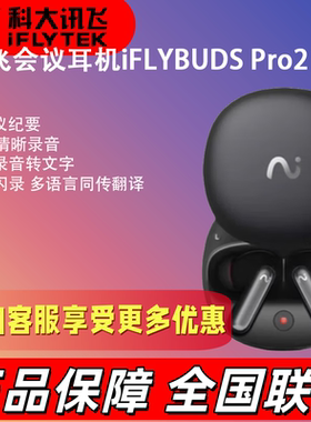 讯飞录音降噪会议耳机iFLYBUDS Pro2蓝牙耳机翻译耳机 无线降噪
