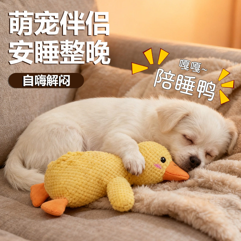 狗狗玩具毛绒发声幼犬小狗宠物比熊泰迪柯基磨牙耐咬自嗨解闷神器