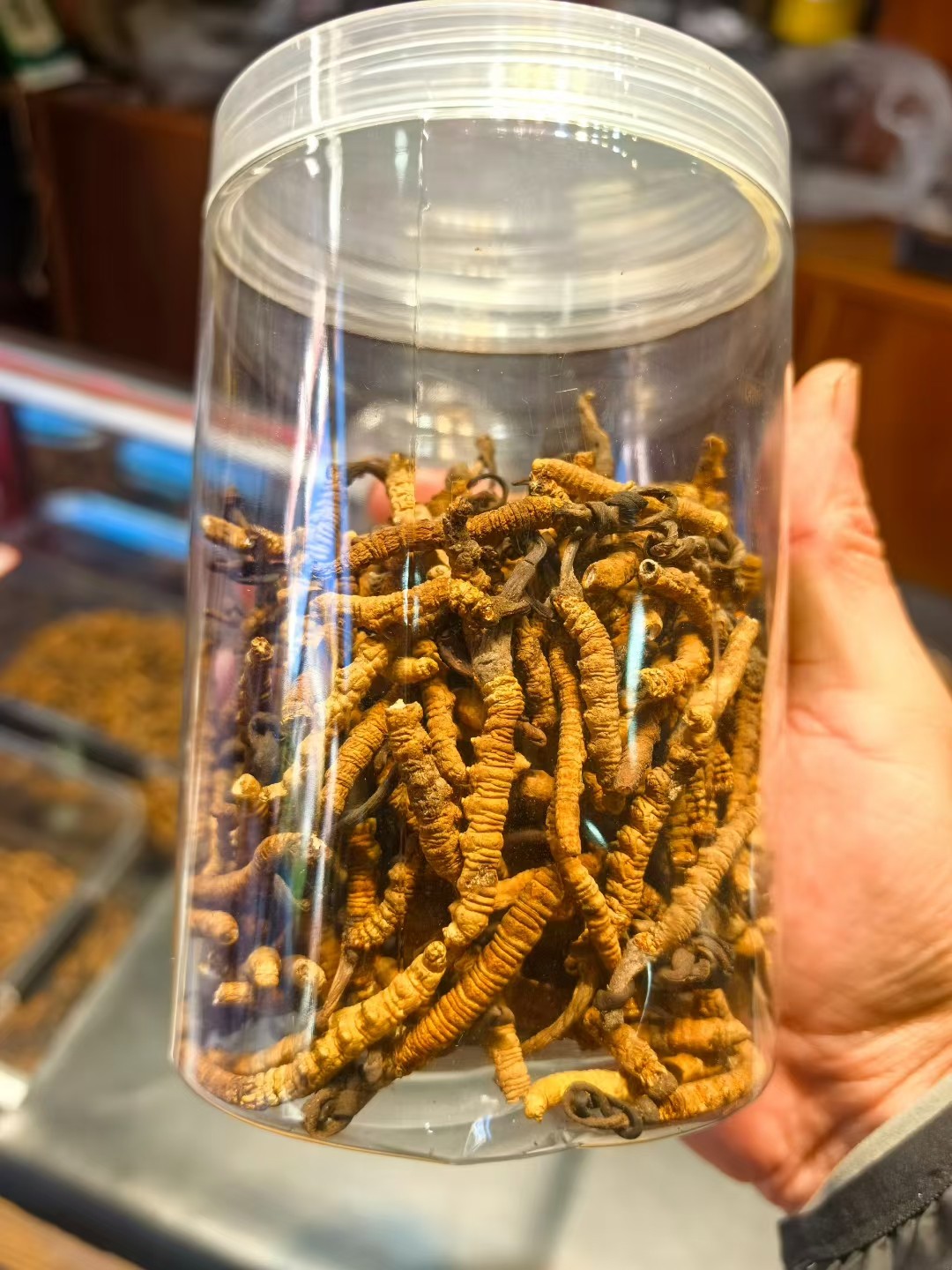 西藏特产冬虫夏草正品中药材高海拔断草整草传统滋补品5g包邮顺丰