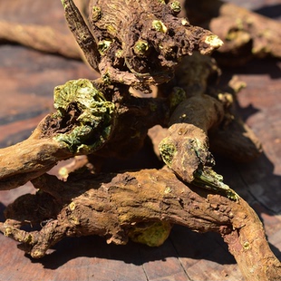 黄芩野生云南特有山货老根小黄芩黄岑茶无硫整株