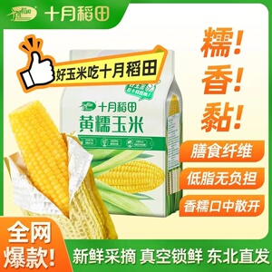 十月稻田黄糯玉米棒玉米粒香甜糯东北热乎黏苞米可拉丝真空店旗舰