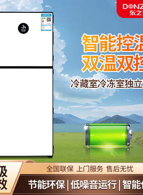 DONZHKLI/东之开立 BCD-70B双开门小冰箱冷藏冷冻租房家用一级