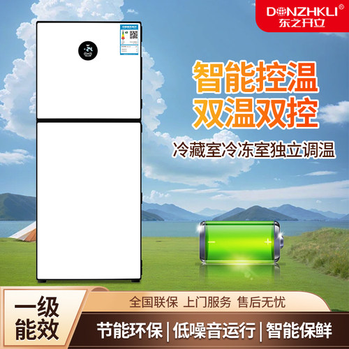 东之开立双开门小型冰箱