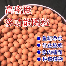 多肉铺面石盆栽透气水培花卉多肉营养土种花陶土粒球陶粒花用垫底