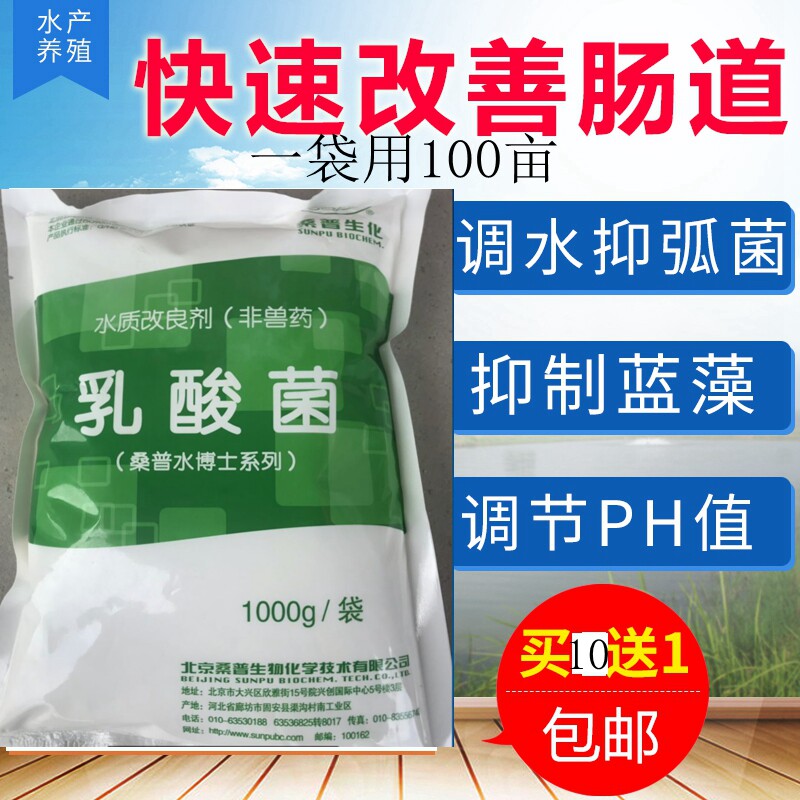 北京桑普乳酸菌原粉水产养殖鱼塘小龙虾螃蟹培菌降亚盐氨氮ph值
