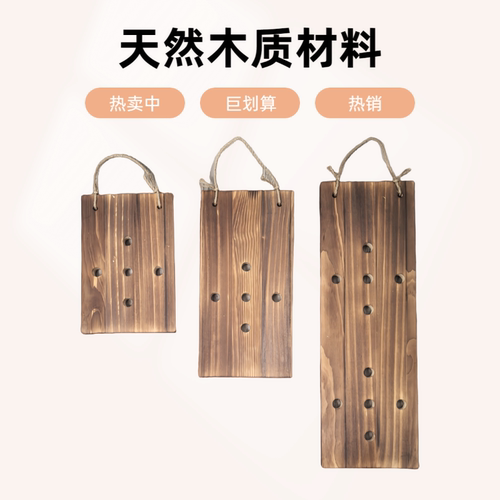 鹿角蕨实木种植板附生植物上墙背板象耳玉女银叶皇冠石斛洞洞板