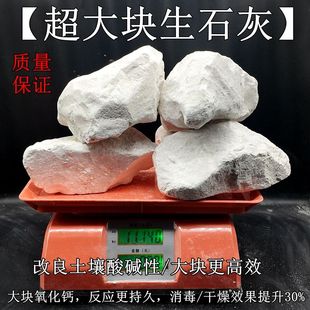 高纯度超级大快生石灰块高效除湿防潮消毒杀菌净化水质改良土壤