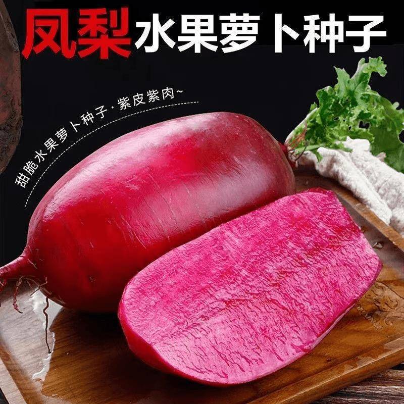 【凤梨萝卜种子】青萝卜红萝卜种子脆甜红皮红肉水果阳台花盆可种
