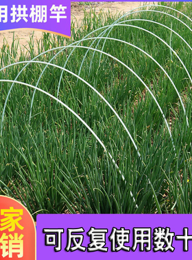 高弹力拱棚大小支架菜棚保温棚花棚玻纤杆农用拱竿骨架玻璃钢实心