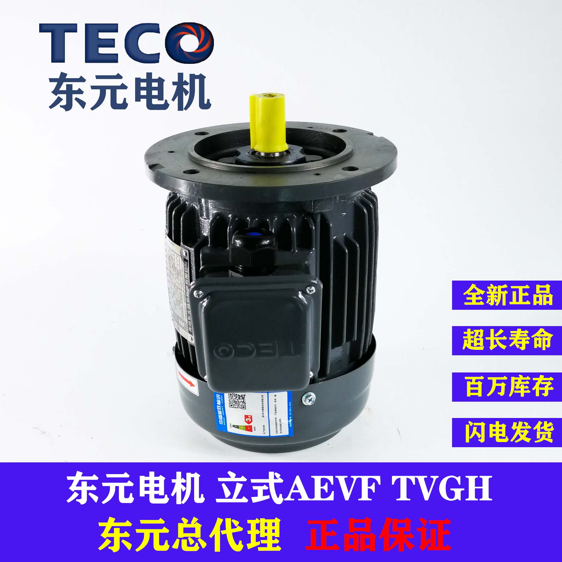 TECO东元电机立式380V刹车制动