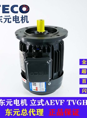 TECO东元电机0.37 0.75 1.5KW AEVF AEMV刹车制动马达电动机立式