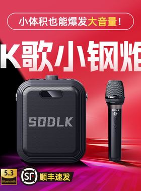 SODLK声莱客便携蓝牙乐器音响户外K歌广场舞U盘内存卡播放带话筒