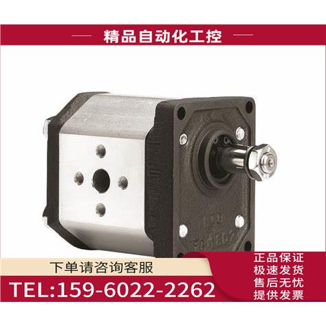 MARZOCCHI齿轮泵G2-D-9-MU G2BK1-D-30 GI1-9【议价】