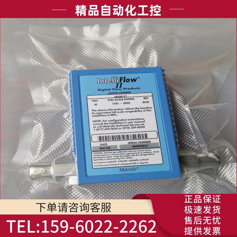 MYKROLIS DSWAK1YY 气体流量计【议价】