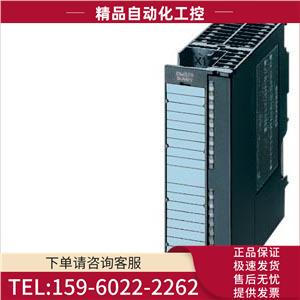 宽温占位模块 6AG1370 0AA01 7AA0DM370 议价 6AG13700AA017AA0