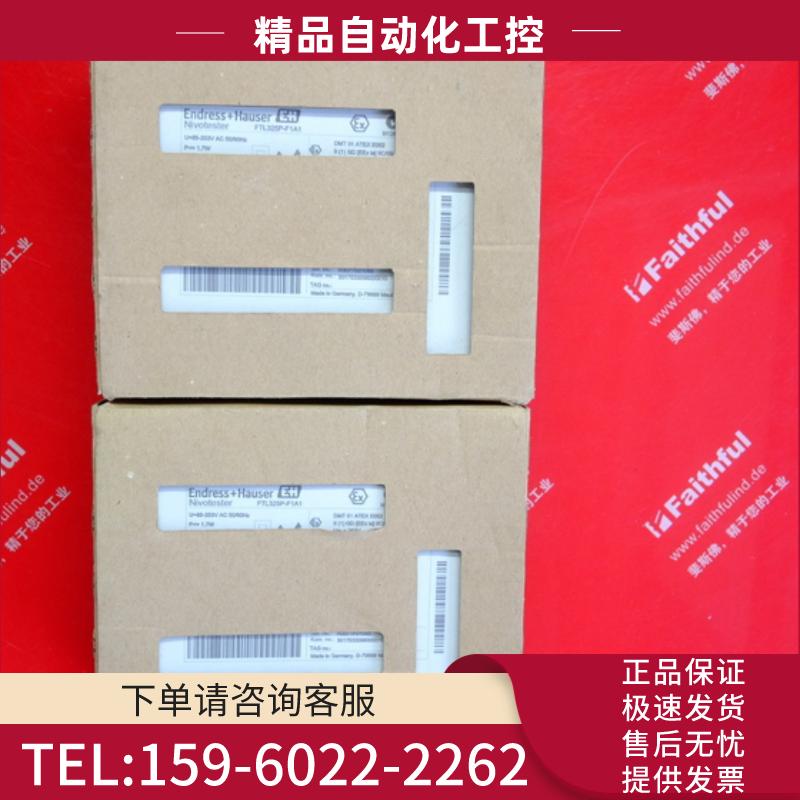 E+H FTL325P-F1A1 恩德斯豪斯全新音叉式物位变送器 Ni【议价】