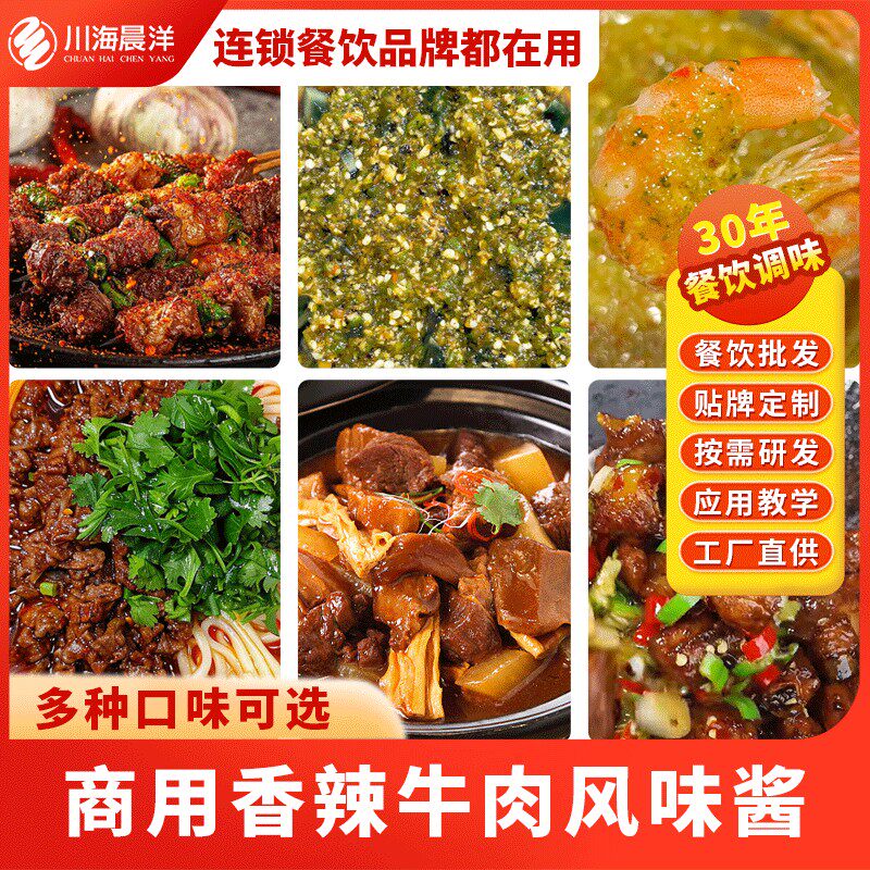 川海晨洋香辣牛肉风味酱500g香辣酱烧菜拌饭拌菜火锅拌面夹馍蘸料