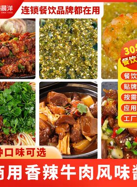 川海晨洋香辣牛肉风味酱500g香辣酱烧菜拌饭拌菜火锅拌面夹馍蘸料