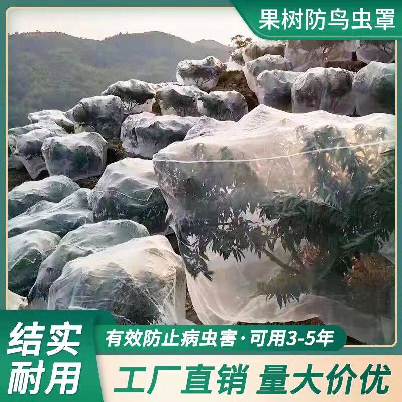 加厚抗老化防虫网果园防鸟网杨梅樱桃防鸟网大棚庭园果树专用网