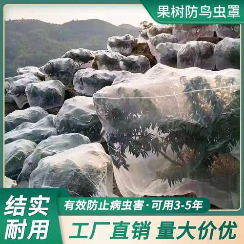 抗老化耐晒防虫网果园防护网罩