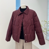 新中式 刺绣中老年翻领保暖外套上衣 羽绒服纯色短款 国风冬季 妈妈装