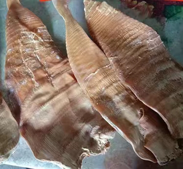 福建特产闽笋干竹笋农家自制压榨笋下饭菜嫩笋尖野生毛竹笋500克