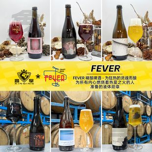 FEVER精酿啤酒想象中的雨农舍艾尔巫师的生日波本桶陈帝国世涛