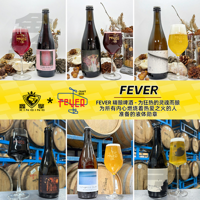 FEVER精酿啤酒想象中的雨农舍艾尔巫师的生日波本桶陈帝国世涛