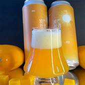 昔禾酿造精酿啤酒 纯芒昔酒芭乐绒雾果泥果味酒微醺组合大罐