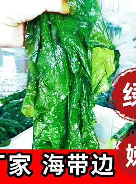 大连海带边片新鲜盐渍凉拌菜薄边海火锅海藻海带片火锅麻辣烫食材