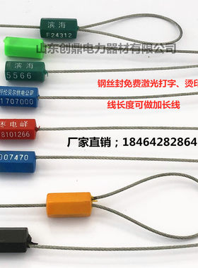 一次性钢丝封 抽紧式钢丝封 集装箱封 电表封 物流大车施封锁扎带