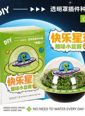 趣味植物盲盒学生室内diy绿植盆栽摆地摊好养活花卉盆景摆件批发