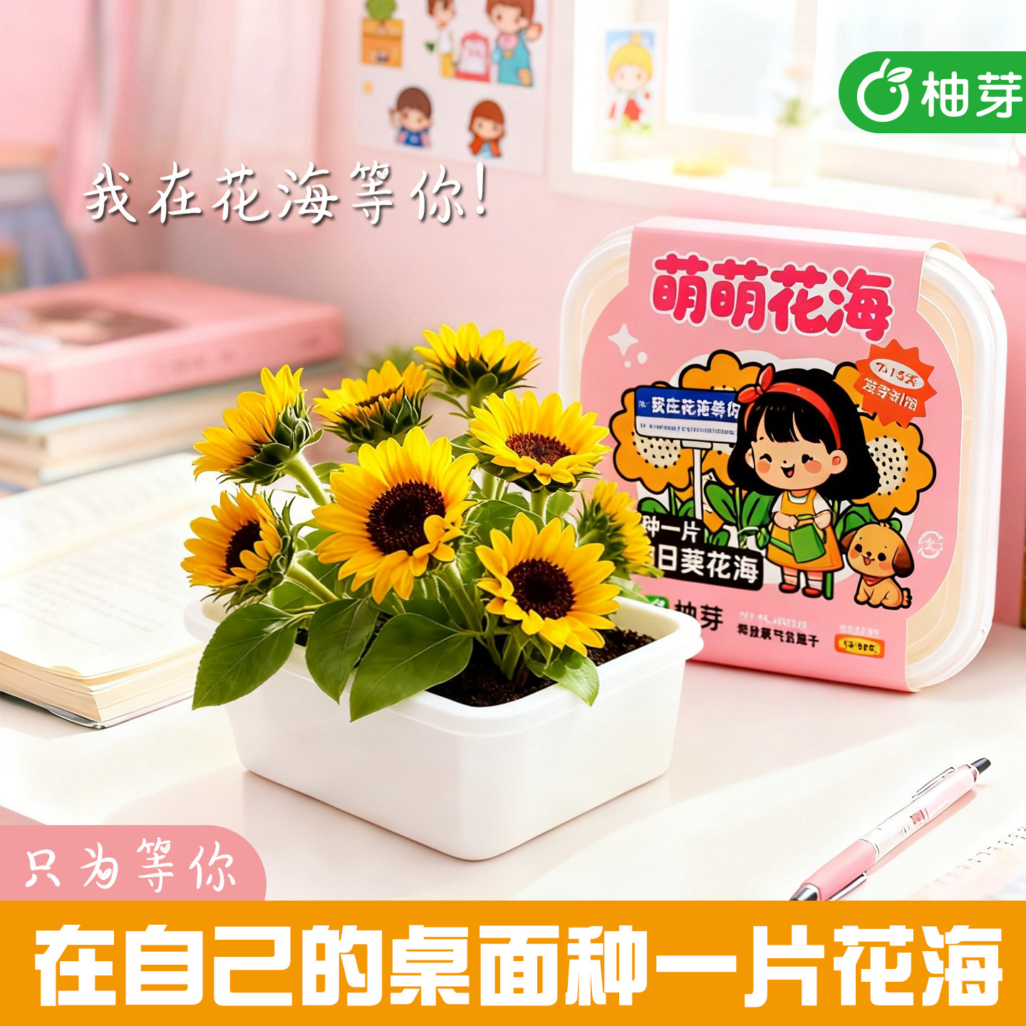 小学生植物盆栽公司活动礼品伴手礼礼物节日奖品团购礼物定制批发,节庆用品/礼品,创意礼盒/礼品套组,淘宝优惠券,粉丝福利购,淘宝优惠卷