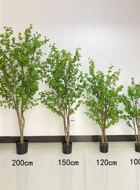 大型仿真树吊钟树马醉木盆景盆栽家居橱窗摆件落地假植物客厅