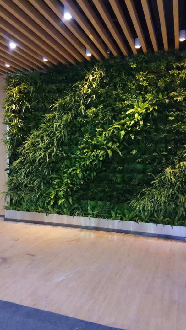 垂直绿化海绵城市制作仿真植物墙外墙绿化墙面装饰背景墙绿化工程