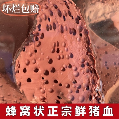 【农家土猪血】真猪血蜂窝状新鲜猪血豆腐火锅酒店食材血块毛血旺