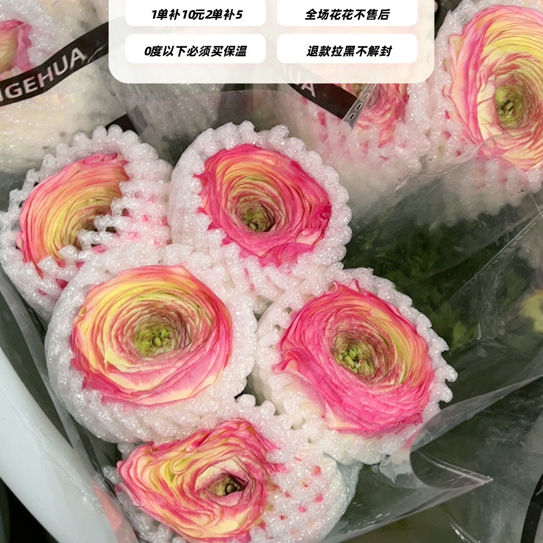 不售后，西柚蜜桃洋牡丹1扎4～5支，购买三单包邮,鲜花速递/花卉仿真/绿植园艺,花材,淘宝优惠券,粉丝福利购,淘宝优惠卷