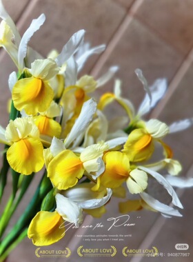 不售后，必买阿波罗鸢尾1扎8～10只，购买3单包邮